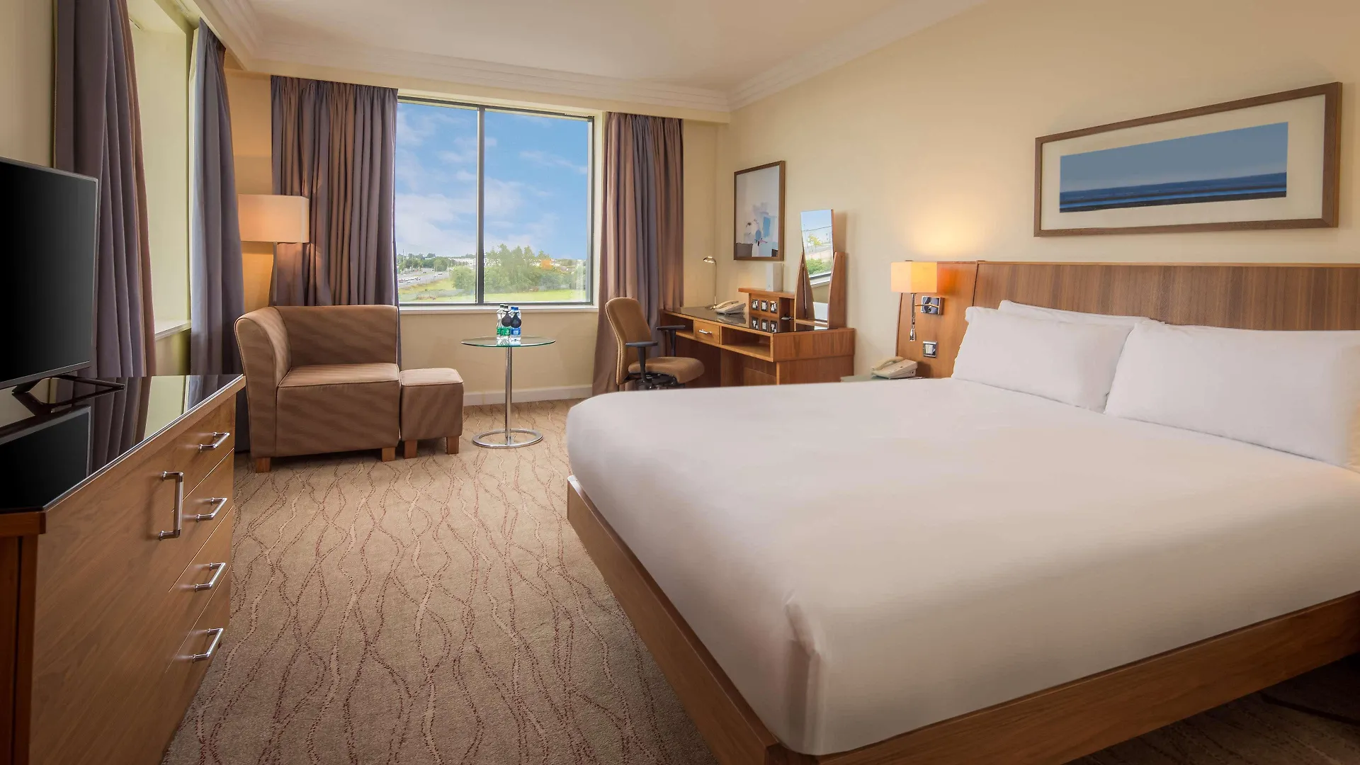 Hilton Dublin Airport Hotel Cloghran